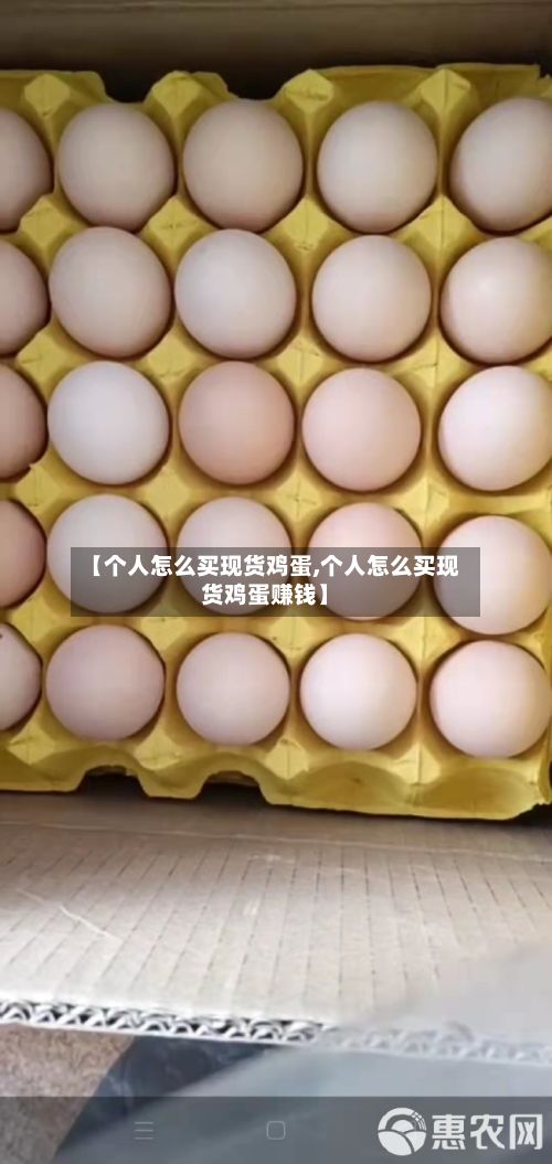 【个人怎么买现货鸡蛋,个人怎么买现货鸡蛋赚钱】