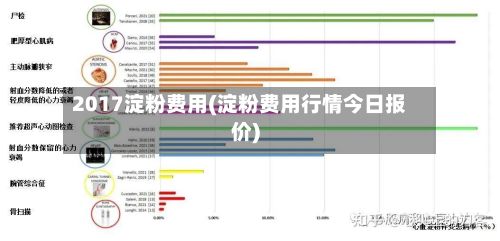 2017淀粉费用(淀粉费用行情今日报价)