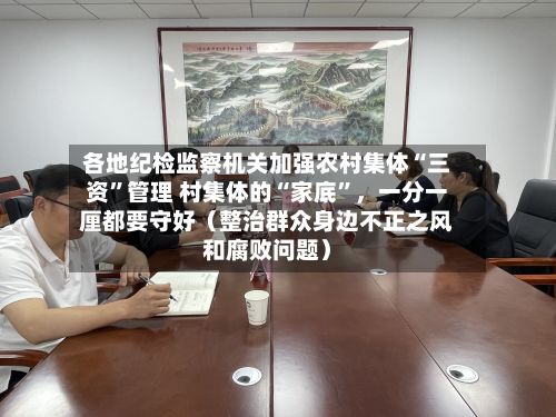 各地纪检监察机关加强农村集体“三资”管理 村集体的“家底”	，一分一厘都要守好（整治群众身边不正之风和腐败问题）-第2张图片