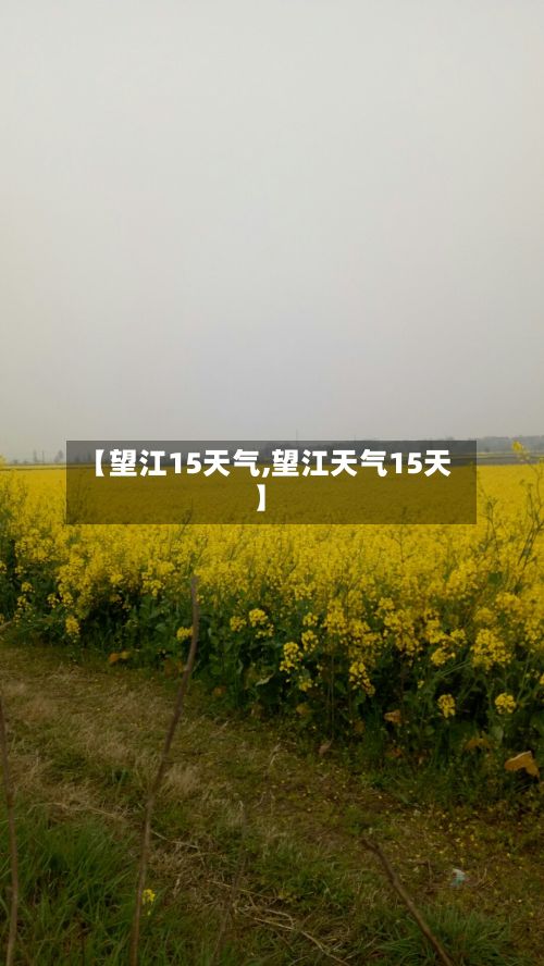 【望江15天气,望江天气15天】-第3张图片