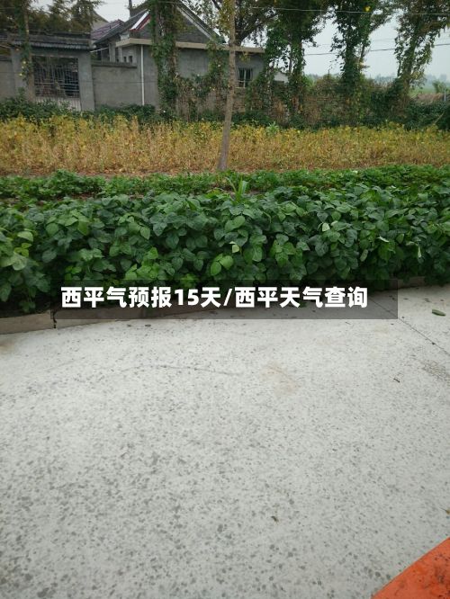西平气预报15天/西平天气查询