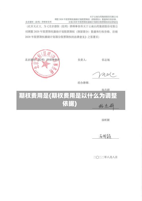 期权费用是(期权费用是以什么为调整依据)