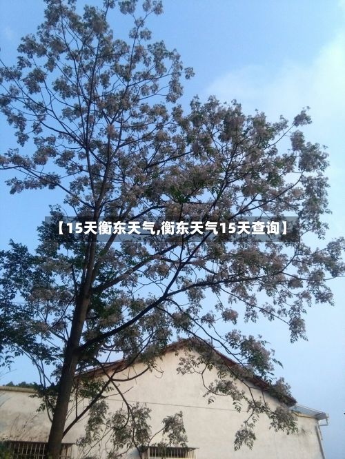 【15天衡东天气,衡东天气15天查询】-第2张图片