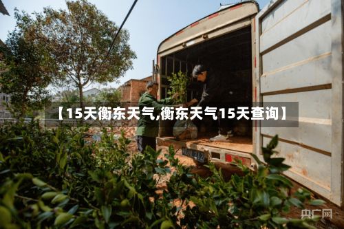 【15天衡东天气,衡东天气15天查询】