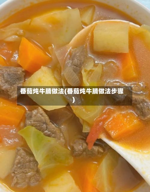 番茄炖牛腩做法(番茄炖牛腩做法步骤)-第2张图片