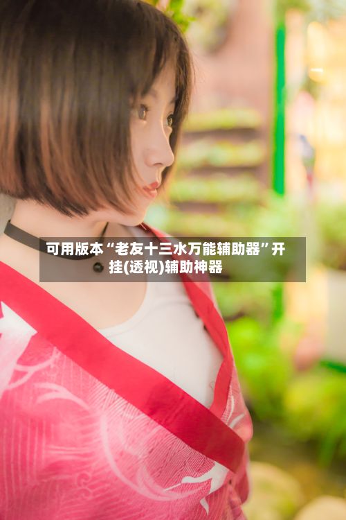 可用版本“老友十三水万能辅助器”开挂(透视)辅助神器-第3张图片