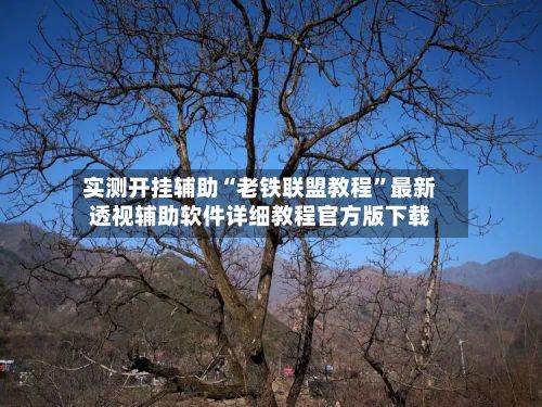 实测开挂辅助“老铁联盟教程”最新透视辅助软件详细教程官方版下载