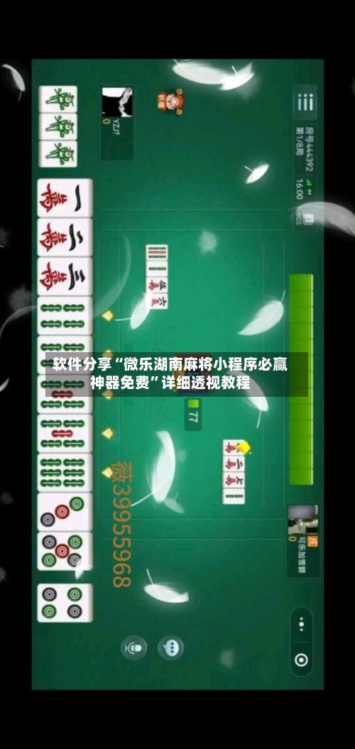 软件分享“微乐湖南麻将小程序必赢神器免费”详细透视教程-第2张图片