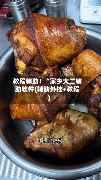 教程辅助!“家乡大二辅助软件(辅助外挂+教程)-第3张图片