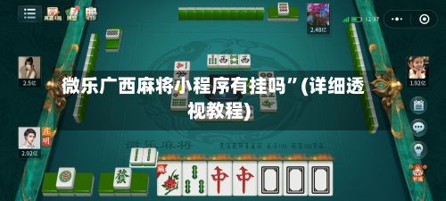 微乐广西麻将小程序有挂吗”(详细透视教程)-第2张图片