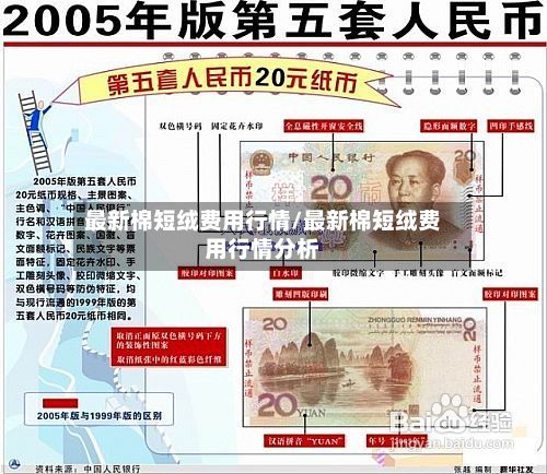 最新棉短绒费用行情/最新棉短绒费用行情分析-第2张图片