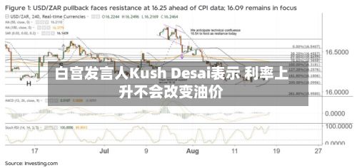 白宫发言人Kush Desai表示 利率上升不会改变油价