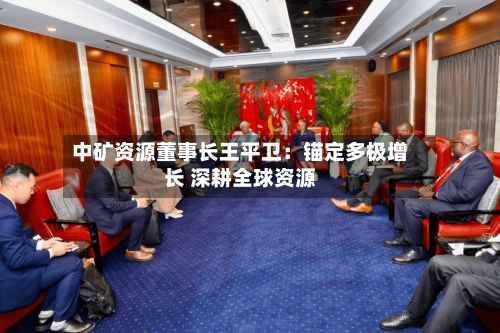 中矿资源董事长王平卫:锚定多极增长 深耕全球资源-第2张图片
