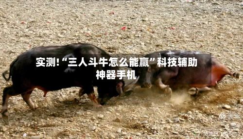 实测!“三人斗牛怎么能赢	”科技辅助神器手机-第2张图片