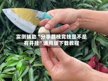 实测辅助“分享荔枝竞技是不是有开挂	”通用版下载教程-第2张图片