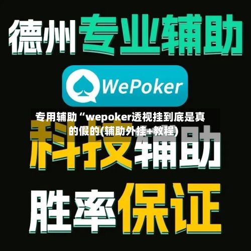 专用辅助“wepoker透视挂到底是真的假的(辅助外挂+教程)-第2张图片
