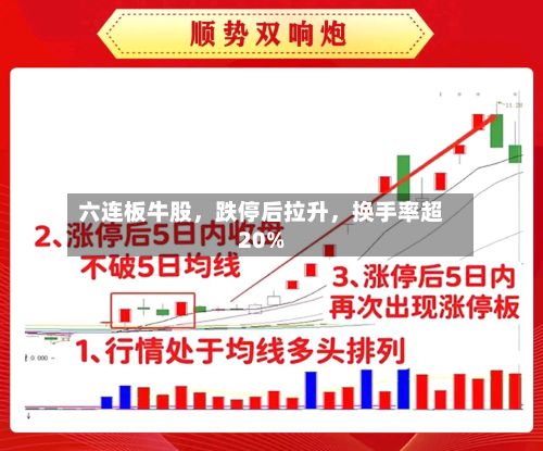 六连板牛股，跌停后拉升，换手率超20%