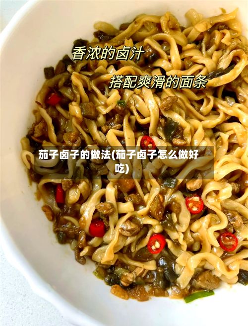 茄子卤子的做法(茄子卤子怎么做好吃)