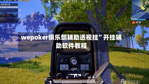 wepoker俱乐部辅助透视挂	”开挂辅助软件教程-第2张图片