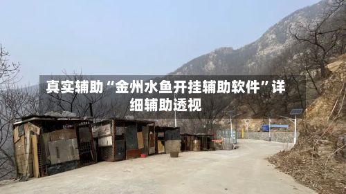 真实辅助“金州水鱼开挂辅助软件”详细辅助透视-第2张图片