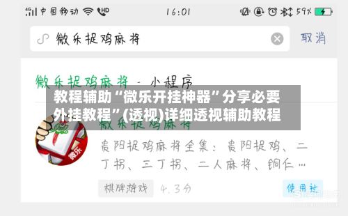 教程辅助“微乐开挂神器”分享必要外挂教程”(透视)详细透视辅助教程-第2张图片