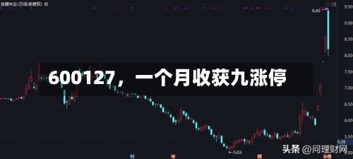600127，一个月收获九涨停-第2张图片