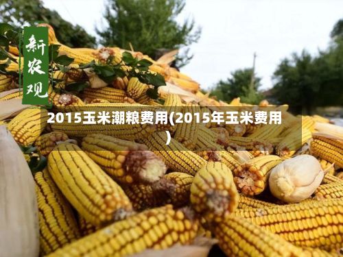 2015玉米潮粮费用(2015年玉米费用)-第3张图片