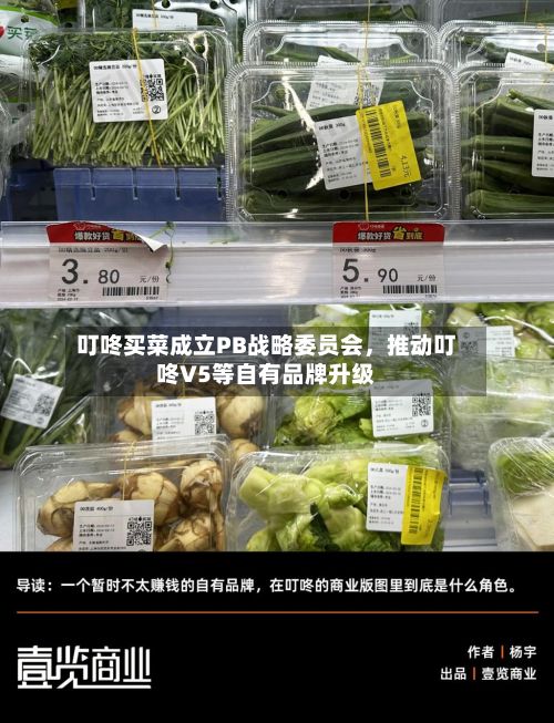 叮咚买菜成立PB战略委员会,推动叮咚V5等自有品牌升级