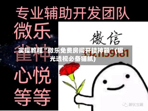 实操教程“微乐免费房间开挂神器”(曝光透视必备猫腻)-第2张图片