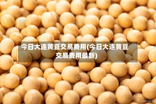今日大连黄豆交易费用(今日大连黄豆交易费用最新)