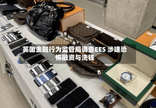 英国金融行为监管局调查EES 涉嫌恐怖融资与洗钱-第2张图片
