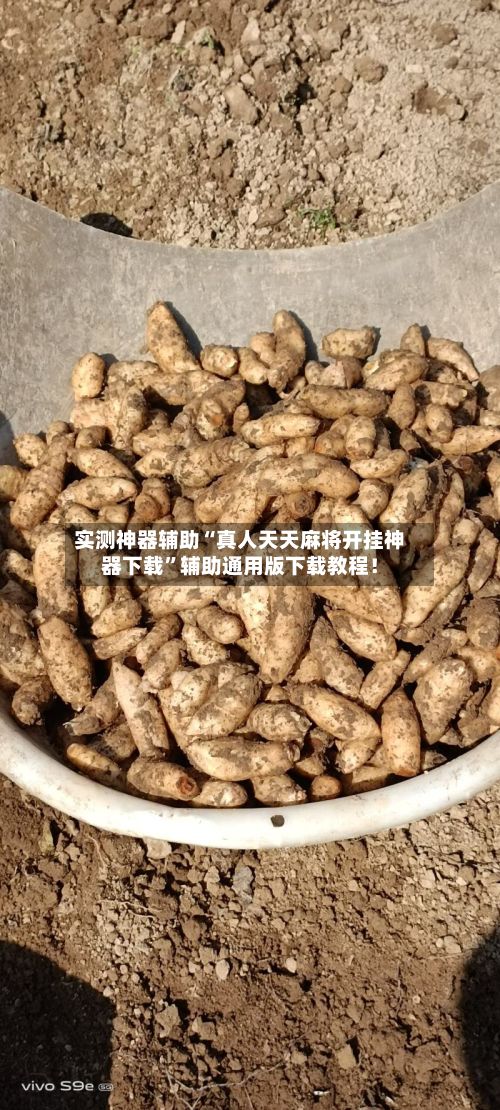 实测神器辅助“真人天天麻将开挂神器下载”辅助通用版下载教程！-第3张图片