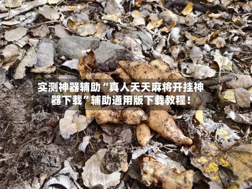 实测神器辅助“真人天天麻将开挂神器下载	”辅助通用版下载教程！-第2张图片