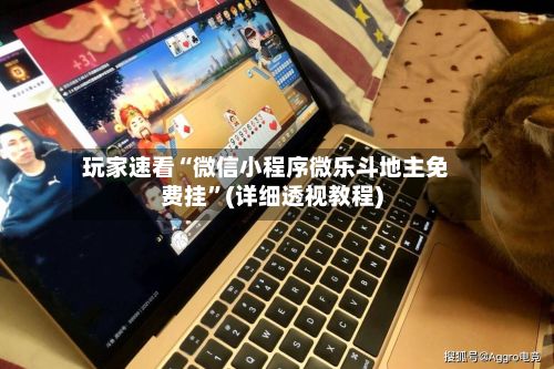 玩家速看“微信小程序微乐斗地主免费挂”(详细透视教程)-第2张图片