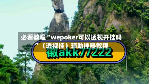 必看教程“wepoker可以透视开挂吗	”（透视挂）辅助神器教程-第2张图片