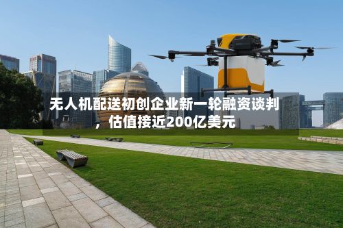 无人机配送初创企业新一轮融资谈判，估值接近200亿美元-第1张图片