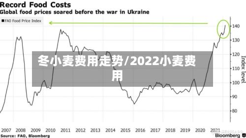 冬小麦费用走势/2022小麦费用-第3张图片