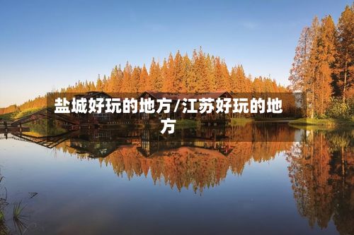 盐城好玩的地方/江苏好玩的地方-第3张图片