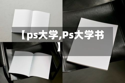 【ps大学,Ps大学书】-第2张图片