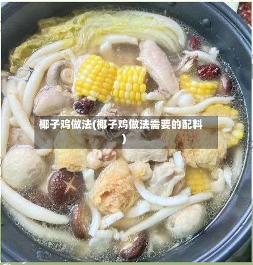 椰子鸡做法(椰子鸡做法需要的配料)