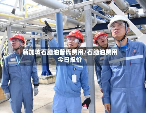 新加坡石脑油普氏费用/石脑油费用今日报价-第2张图片