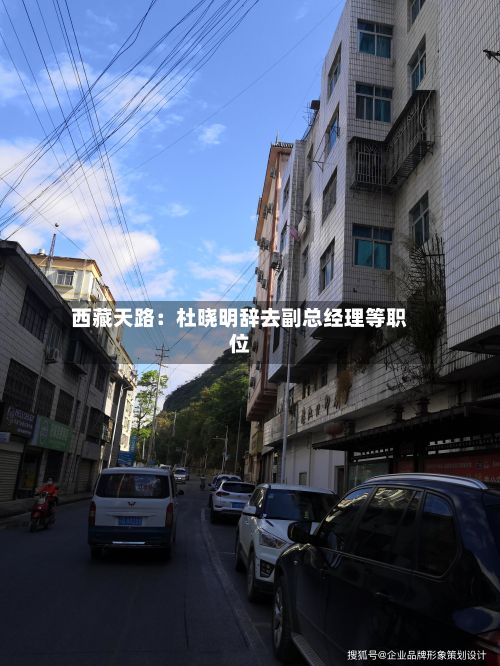 西藏天路：杜晓明辞去副总经理等职位-第2张图片