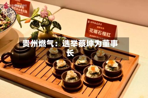 贵州燃气:选举蔡坤为董事长