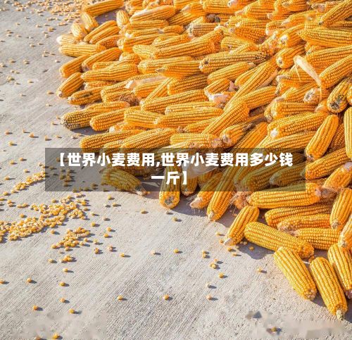 【世界小麦费用,世界小麦费用多少钱一斤】-第3张图片