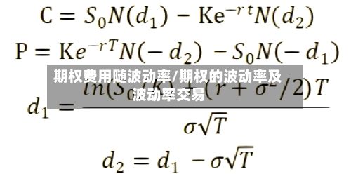 期权费用随波动率/期权的波动率及波动率交易-第2张图片
