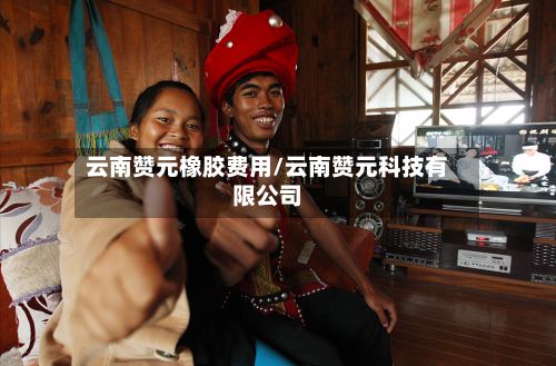 云南赞元橡胶费用/云南赞元科技有限公司-第3张图片