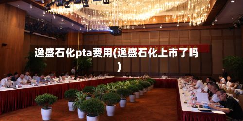 逸盛石化pta费用(逸盛石化上市了吗)-第2张图片
