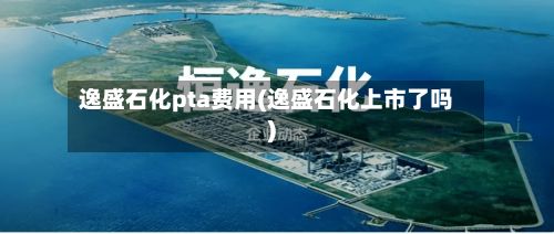 逸盛石化pta费用(逸盛石化上市了吗)