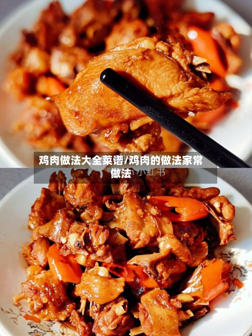 鸡肉做法大全菜谱/鸡肉的做法家常做法