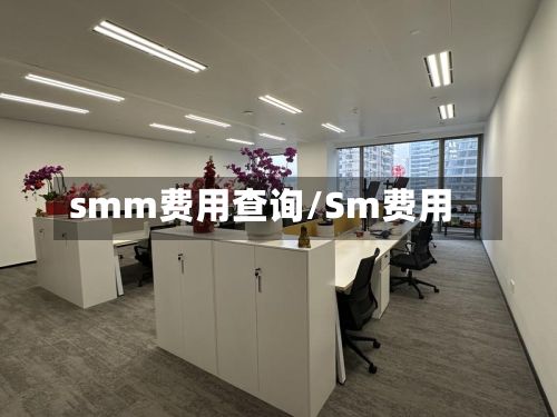 smm费用查询/Sm费用